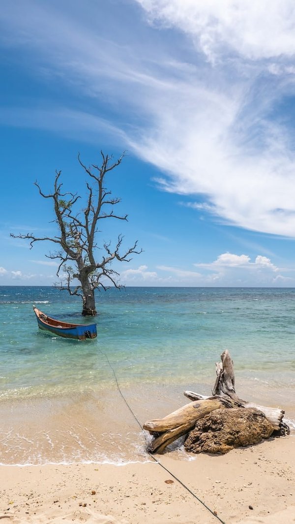 Les joies de Tuvalu : Plages, atolls et îles à découvrir